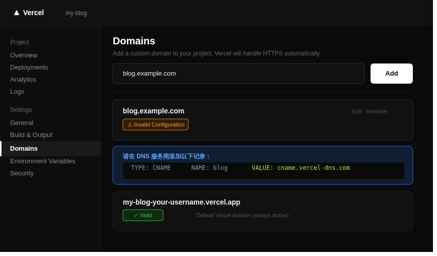 Vercel 域名设置页